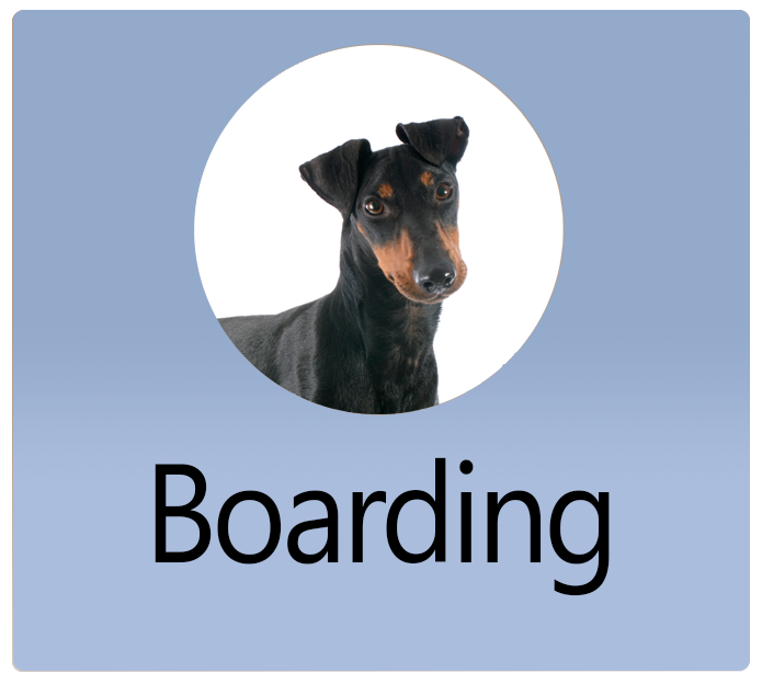 Boarding